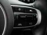 Thumbnail of 2024 Jungle Green Kia Sportage