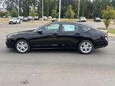 Thumbnail of 2025 Still Night Pearl Honda Accord