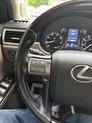 Thumbnail of 2017 White Lexus GX 460