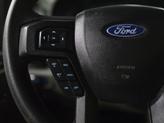 Thumbnail of 2017 Caribou Metallic Ford F-350