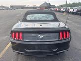 Thumbnail of 2021 Shadow Black Ford Mustang