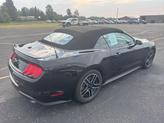 Thumbnail of 2021 Shadow Black Ford Mustang