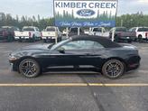 Thumbnail of 2021 Shadow Black Ford Mustang