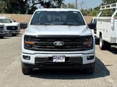 Thumbnail of 2025 White Ford F-150