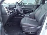 Thumbnail of 2025 Glacial White Pearl Kia Sorento