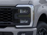 Thumbnail of 2025 Avalanche Ford F-250