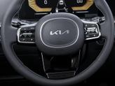 Thumbnail of 2025 Metal Kia Sorento