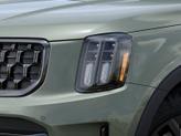 Thumbnail of 2025 Jungle Green Kia Telluride