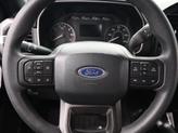 Thumbnail of 2023 Carbonized Gray Metallic Ford F-150