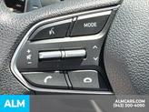Thumbnail of 2022 Stormy Sea Hyundai SANTA FE