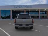 Thumbnail of 2025 Carbonized Gray Metallic Ford F-150