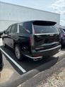 Thumbnail of 2022 Black Raven Cadillac Escalade