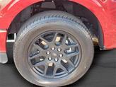 Thumbnail of 2024 Rapid Red Metallic Tinted Clearcoat Ford F-150