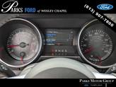 Thumbnail of 2023 Shadow Black Ford Mustang