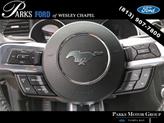 Thumbnail of 2023 Shadow Black Ford Mustang