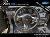 Thumbnail of 2023 Shadow Black Ford Mustang