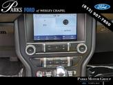 Thumbnail of 2023 Shadow Black Ford Mustang