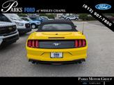 Thumbnail of 2023 Shadow Black Ford Mustang
