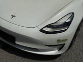 Thumbnail of 2021 Pearl White Multi-Coat Tesla Model 3