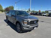 Thumbnail of 2023 Carbonized Gray Metallic Ford F-150