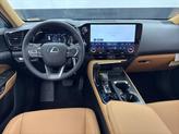 Thumbnail of 2025 Green Pearl Lexus NX 350