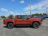 Thumbnail of 2025 Terra Toyota Tacoma