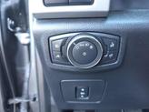Thumbnail of 2016 Magnetic Ford F-150