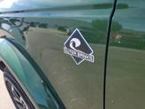 Thumbnail of 2025 Eruption Green Metallic Ford Bronco
