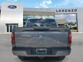 Thumbnail of 2025 Carbonized Gray Metallic Ford F-150