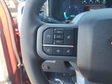 Thumbnail of 2026 Ruby Red Metallic Tinted Clearcoat Ford F-250