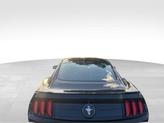 Thumbnail of 2021 Shadow Black Ford Mustang