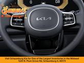 Thumbnail of 2026 Aurora Black Pearl Kia Carnival Hybrid