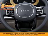 Thumbnail of 2026 Aurora Black Pearl Kia Carnival Hybrid