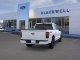 Thumbnail of 2025 Oxford White Ford F-150