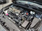 Thumbnail of 2025 Not Specified Toyota Camry