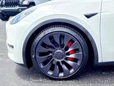 Thumbnail of 2022 Pearl White Multi-Coat Tesla Model Y