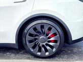 Thumbnail of 2022 Pearl White Multi-Coat Tesla Model Y
