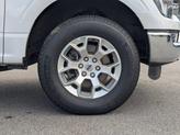 Thumbnail of 2023 Oxford White Ford F-150