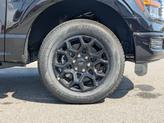 Thumbnail of 2025 Agate Black Metallic Ford F-150