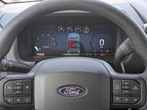 Thumbnail of 2025 Agate Black Metallic Ford F-150