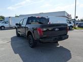 Thumbnail of 2025 Agate Black Metallic Ford F-150