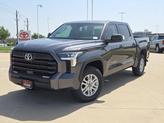 Photo of 2025 Gray Toyota Tundra