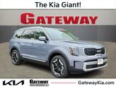 Photo of 2025 Everlasting Silver Kia Telluride