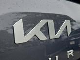 Thumbnail of 2025 Everlasting Silver Kia Telluride