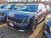 Thumbnail of 2025 Metal Kia Sorento