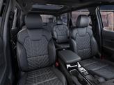 Thumbnail of 2025 Black Kia Telluride