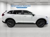 Thumbnail of 2026 Platinum White Pearl Honda CR-V
