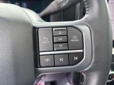 Thumbnail of 2024 Carbonized Gray Metallic Ford F-250