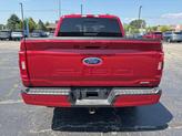 Thumbnail of 2022 Rapid Red Metallic Tinted Clearcoat Ford F-150
