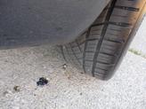 Thumbnail of 2011 Gray Audi A3